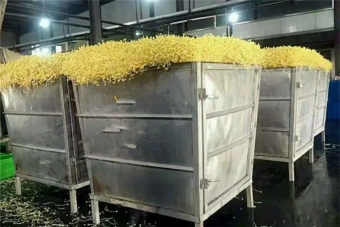 大型豆芽生產(chǎn)線(xiàn)